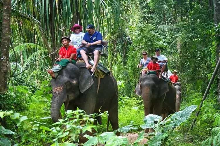 Elephant riding in Phuket main