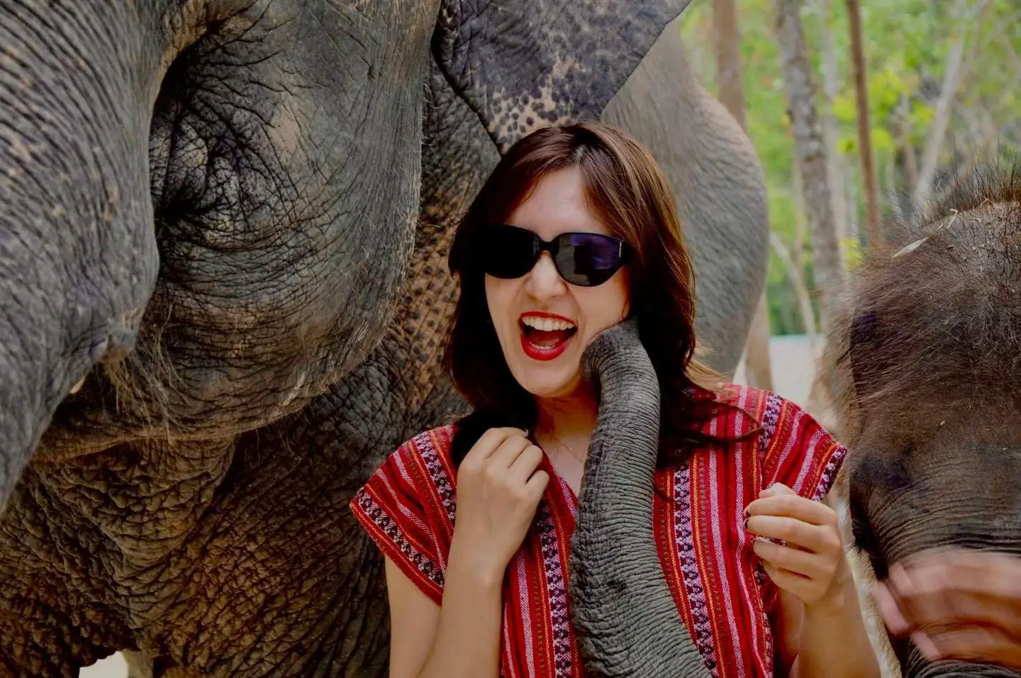 Elephant Camp in Phuket 4