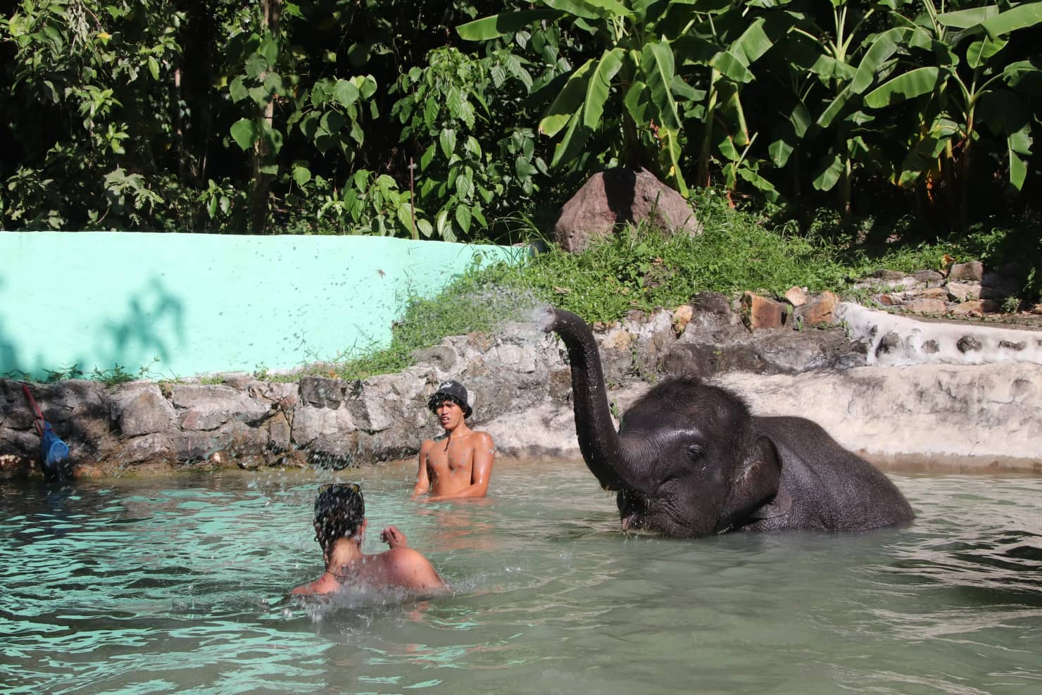 Elephant riding in Phuket 1