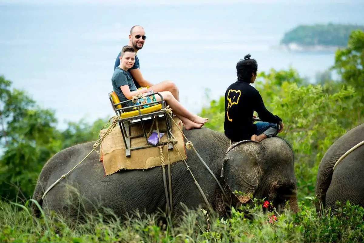Elephant riding in Phuket 3
