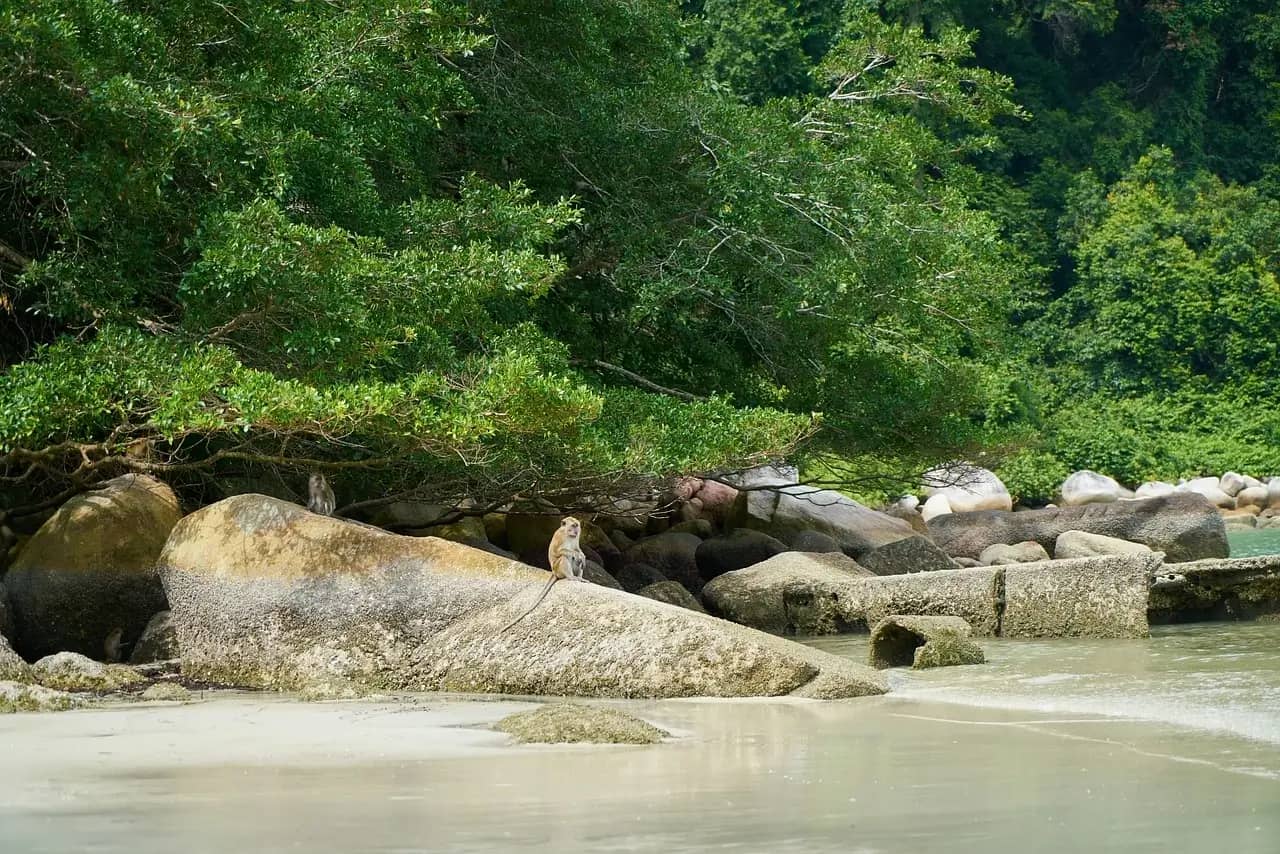 12 Islands Tour (4 Pearls of Andaman) 2