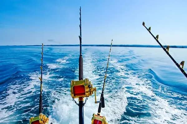 Trolling & Deep Sea Fishing in Phuket 3