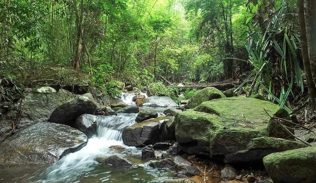 The tropical forect and waterfalls of Khao Phra Thaeo National Park are perfect for nature lovers