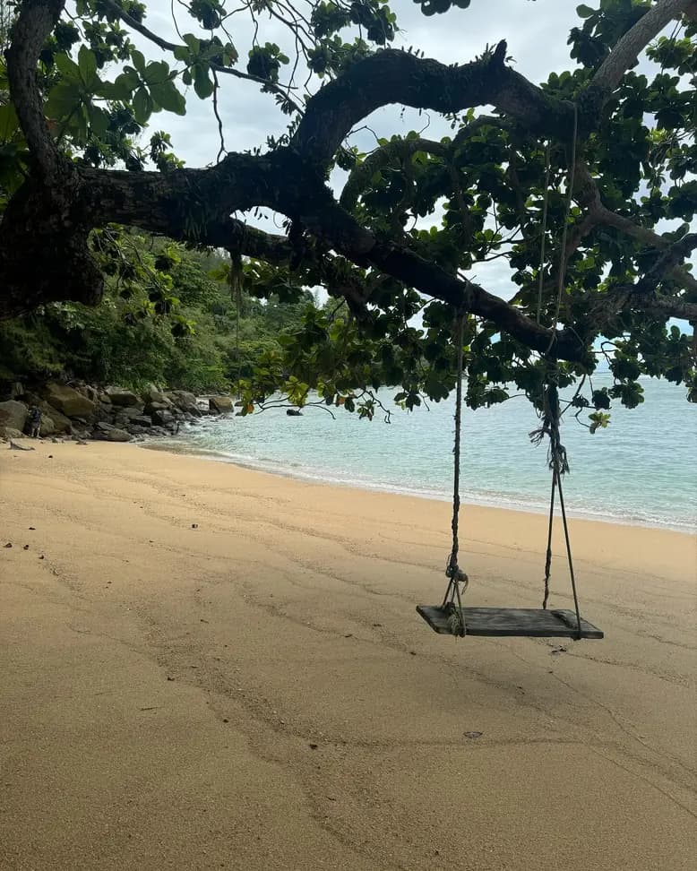 How to choose the perfect tour in Phuket: tips for tourists 