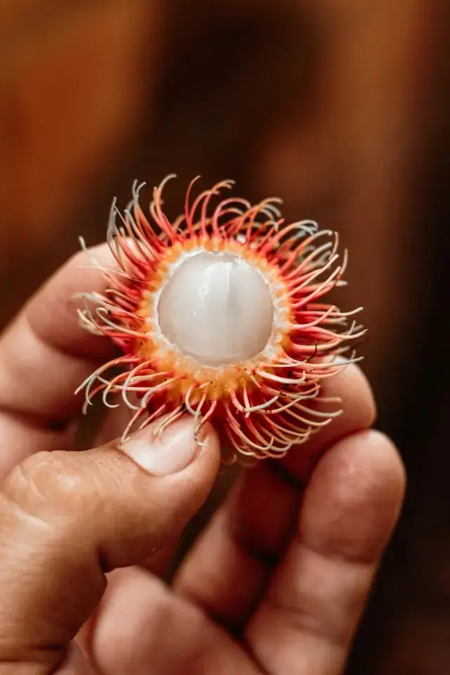 rambutan