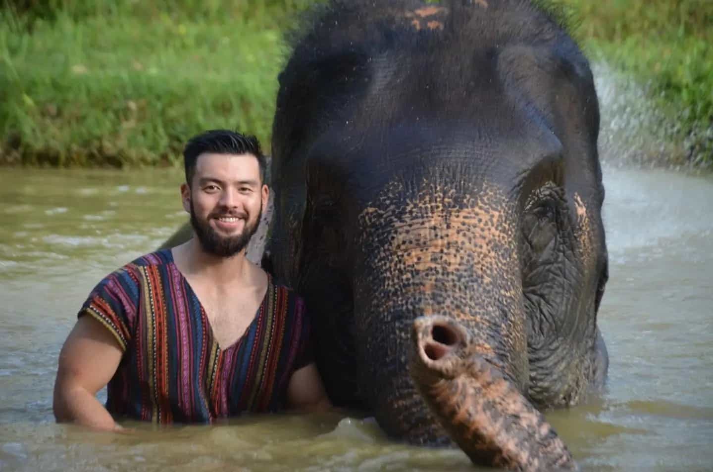 Elephant Camp in Phuket main Elephant Camp in Phuket main