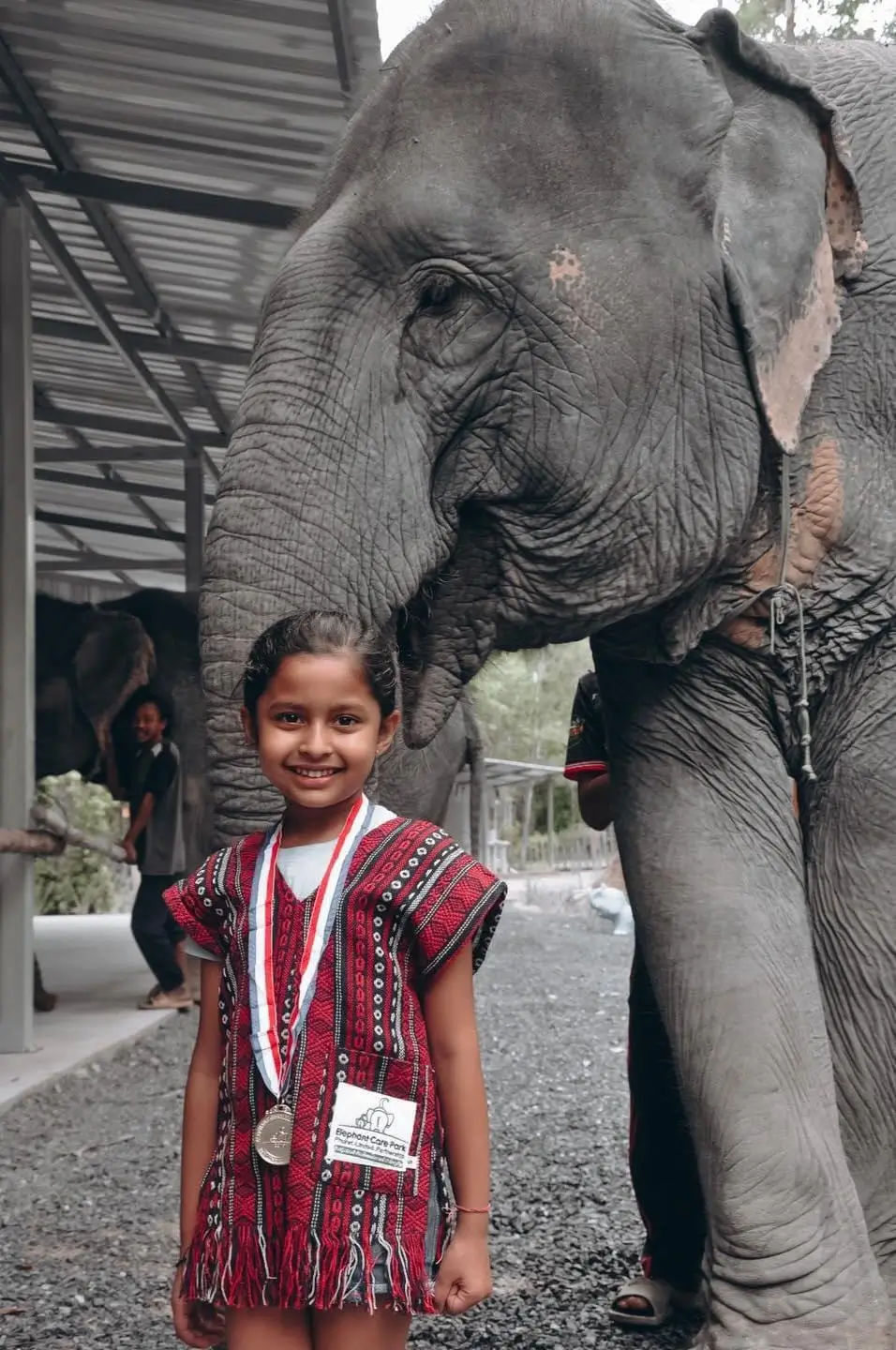 Elephant Camp in Phuket 2 Elephant Camp in Phuket 2