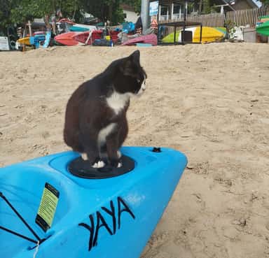 458611467_2394972134045218_2844600774765949373_n.jpg 458611467_2394972134045218_2844600774765949373_n.jpg