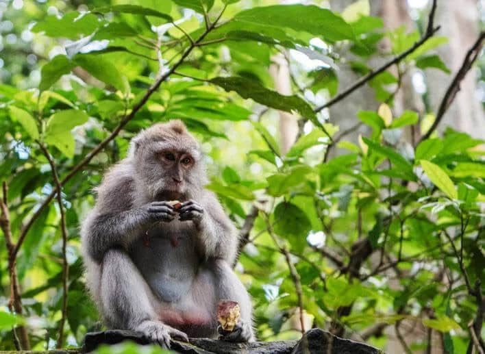 Khao Lak Tour 2 Khao Lak Tour 2